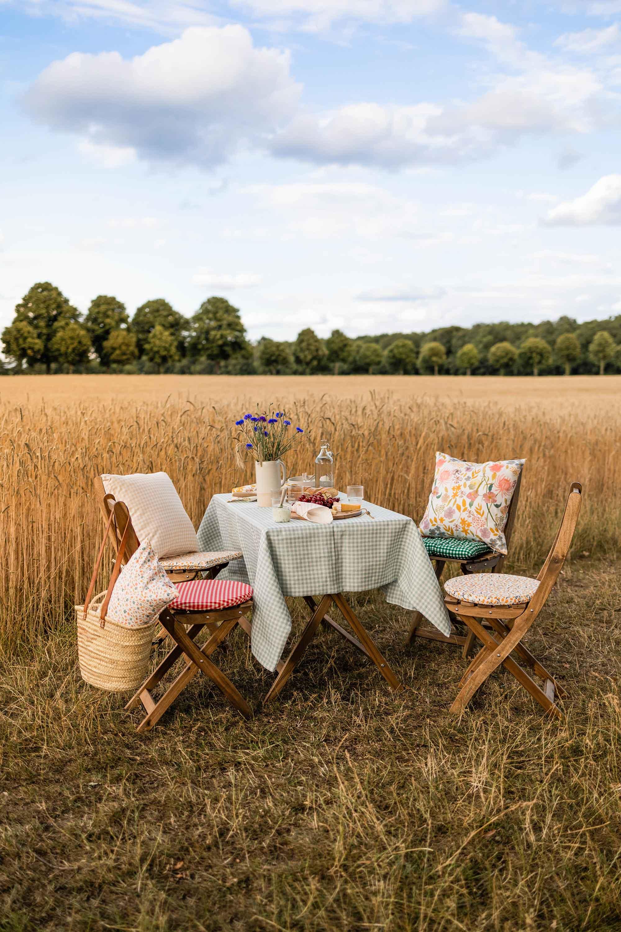 Das perfekte Sommerpicknick